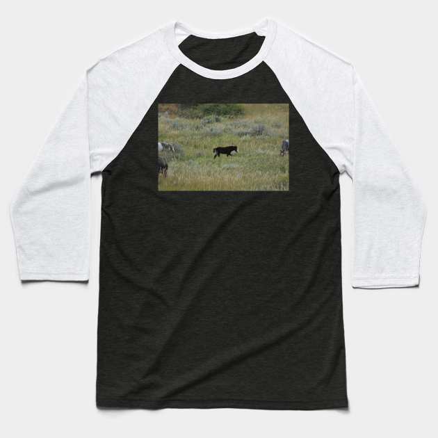 Wild Foal Baseball T-Shirt by MarieDarcy